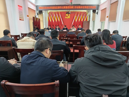 81f826741cf3bed1f2776529d5f38a25.jpg 葵潭農(nóng)場2023年度黨支部書記抓基層黨建工作述職評議考核工作會議(1).jpg