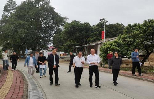 范利輝帶隊到卅嶺農(nóng)場進行項目規(guī)劃建設(shè)調(diào)研.png